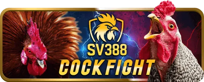 Game thủ chuyên nghiệp đang thi đấu Esports tại fly 88